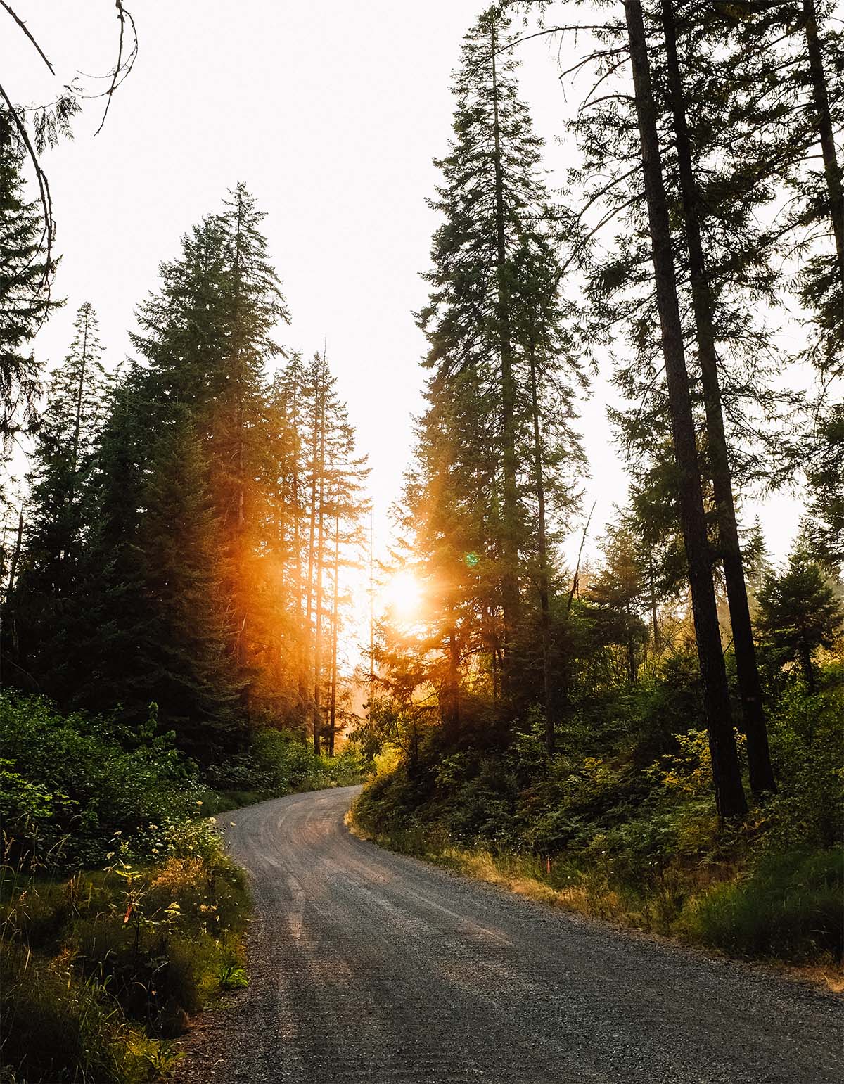 At Total Hydraulics, we only employ expert mechanics that specialize in custom hydraulic repairs across various sectors, including marine, forestry, oil & gas, and construction in the British Columbia market and beyond.